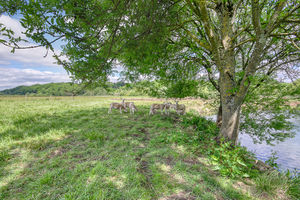 Additional Land- click for photo gallery